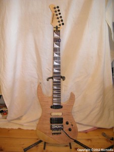 Fernandez modern Strat