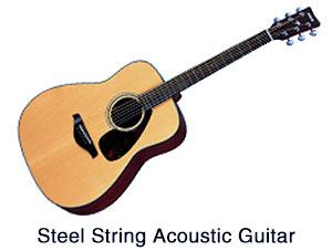 Steel string acoustic guitar